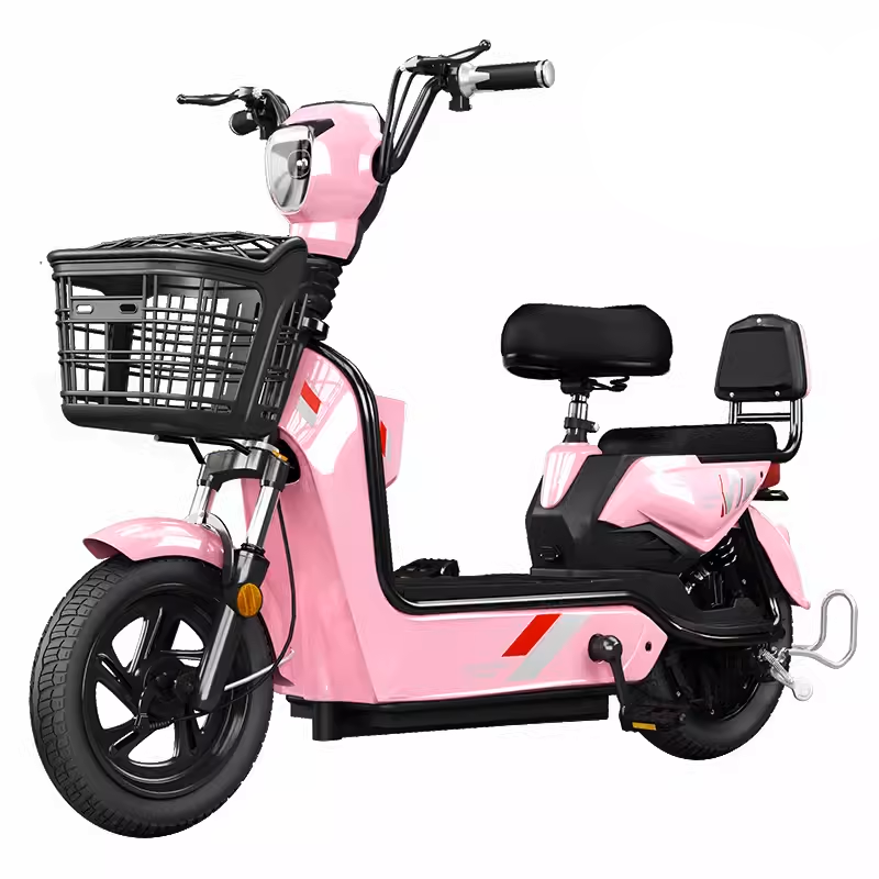  Foto - Bicicleta Electrica